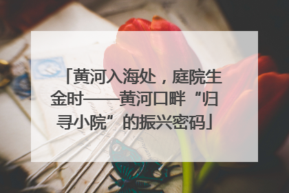 黄河入海处，庭院生金时——黄河口畔“归寻小院”的振兴密码