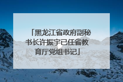 黑龙江省政府副秘书长许振宇已任省教育厅党组书记