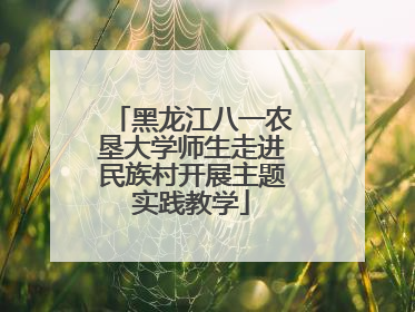 黑龙江八一农垦大学师生走进民族村开展主题实践教学