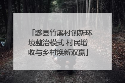 黟县竹溪村创新环境整治模式 村民增收与乡村焕新双赢