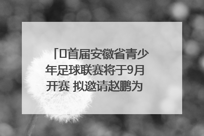 ﻿首届安徽省青少年足球联赛将于9月开赛 拟邀请赵鹏为先导赛开球