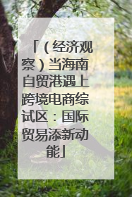 （经济观察）当海南自贸港遇上跨境电商综试区：国际贸易添新动能