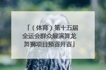 （体育）第十五届全运会群众展演舞龙舞狮项目预赛开赛