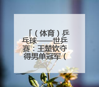 （体育）乒乓球——世乒赛：王楚钦夺得男单冠军（3）