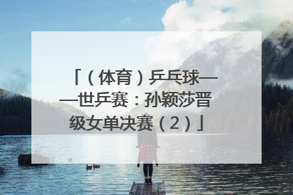 （体育）乒乓球——世乒赛：孙颖莎晋级女单决赛（2）