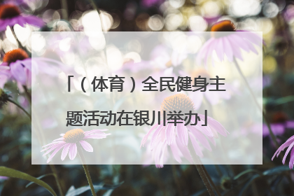 （体育）全民健身主题活动在银川举办