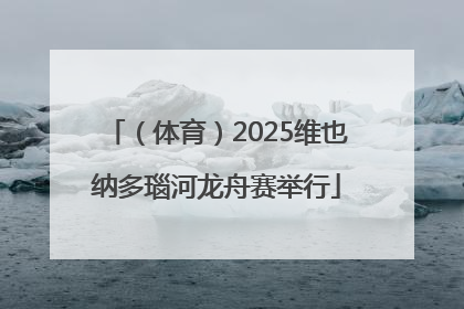 （体育）2025维也纳多瑙河龙舟赛举行