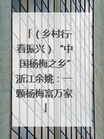（乡村行·看振兴）“中国杨梅之乡”浙江余姚：一颗杨梅富万家