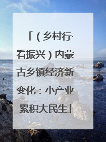 （乡村行·看振兴）内蒙古乡镇经济新变化：小产业累积大民生