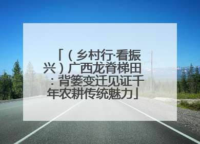 （乡村行·看振兴）广西龙脊梯田：背篓变迁见证千年农耕传统魅力