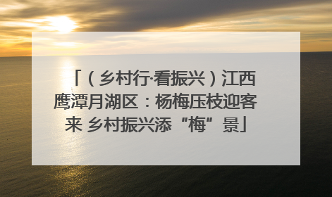 （乡村行·看振兴）江西鹰潭月湖区：杨梅压枝迎客来 乡村振兴添“梅”景