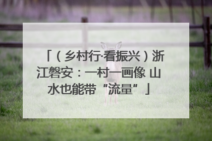 （乡村行·看振兴）浙江磐安：一村一画像 山水也能带“流量”