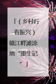 （乡村行·看振兴）赣江畔滩涂地“重生记”