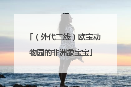 （外代二线）欧宝动物园的非洲象宝宝