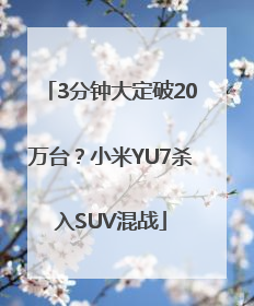 3分钟大定破20万台？小米YU7杀入SUV混战