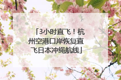 3小时直飞！杭州空港口岸恢复直飞日本冲绳航线