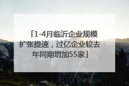 1-4月临沂企业规模扩张提速，过亿企业较去年同期增加55家
