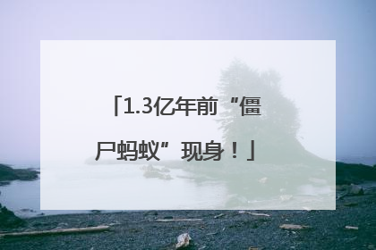 1.3亿年前“僵尸蚂蚁”现身！