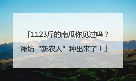 1123斤的南瓜你见过吗？潍坊“新农人”种出来了！