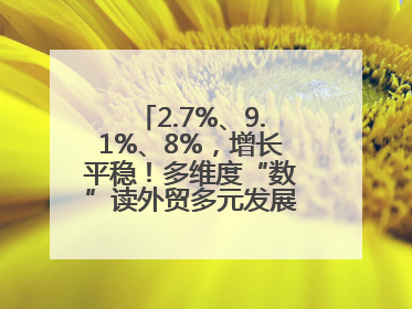 2.7%、9.1%、8%，增长平稳！多维度“数”读外贸多元发展、综合优势明显