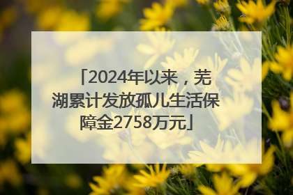 2024年以来，芜湖累计发放孤儿生活保障金2758万元