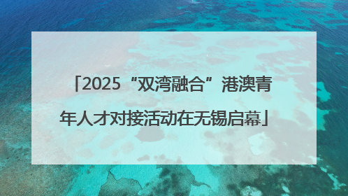 2025“双湾融合”港澳青年人才对接活动在无锡启幕