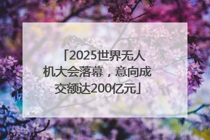 2025世界无人机大会落幕，意向成交额达200亿元
