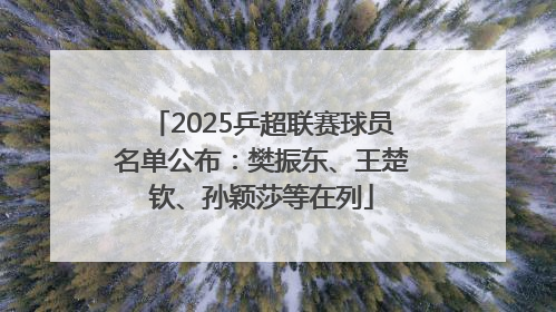 2025乒超联赛球员名单公布：樊振东、王楚钦、孙颖莎等在列