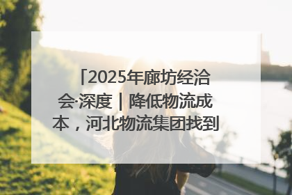 2025年廊坊经洽会·深度｜降低物流成本，河北物流集团找到一把“金钥匙”