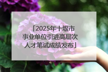 2025年十堰市事业单位引进高层次人才笔试成绩发布