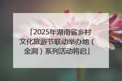 2025年湖南省乡村文化旅游节联动举办地（金洞）系列活动将启