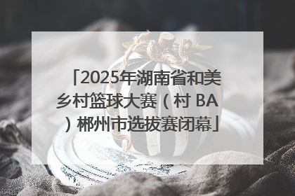 2025年湖南省和美乡村篮球大赛（村 BA）郴州市选拔赛闭幕