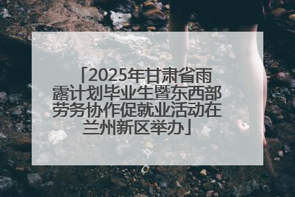 2025年甘肃省雨露计划毕业生暨东西部劳务协作促就业活动在兰州新区举办