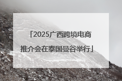 2025广西跨境电商推介会在泰国曼谷举行