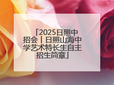 2025日照中招会丨日照山海中学艺术特长生自主招生简章