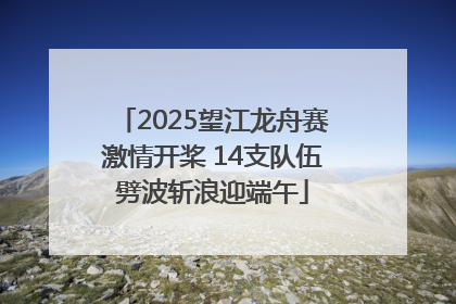 2025望江龙舟赛激情开桨 14支队伍劈波斩浪迎端午