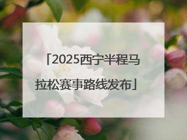 2025西宁半程马拉松赛事路线发布