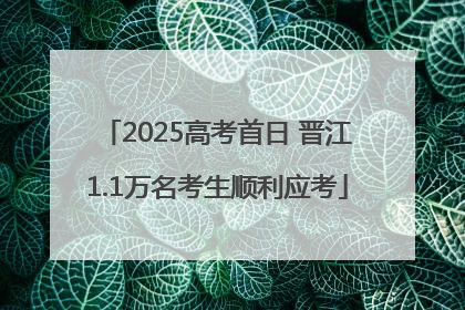2025高考首日 晋江1.1万名考生顺利应考