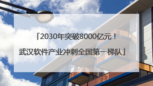 2030年突破8000亿元！武汉软件产业冲刺全国第一梯队