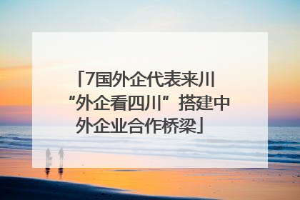 7国外企代表来川 “外企看四川”搭建中外企业合作桥梁