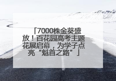 7000株金葵盛放！百花园高考主题花展启幕，为学子点亮“魁首之路”