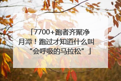 7700+跑者齐聚净月潭！跑过才知道什么叫“会呼吸的马拉松”
