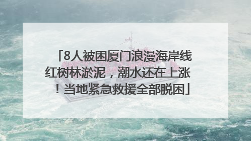 8人被困厦门浪漫海岸线红树林淤泥，潮水还在上涨！当地紧急救援全部脱困