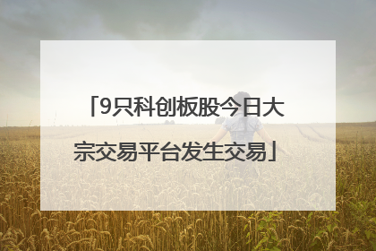 9只科创板股今日大宗交易平台发生交易