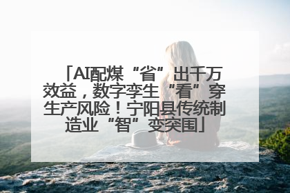 AI配煤“省”出千万效益，数字孪生“看”穿生产风险！宁阳县传统制造业“智”变突围