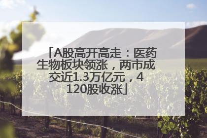 A股高开高走：医药生物板块领涨，两市成交近1.3万亿元，4120股收涨